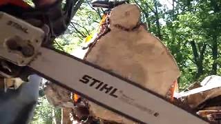 MOV04548 Stihl 034 super in small end of maple piece