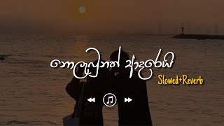 Download Lagu Nolabunath Adarei - නොලැබුනත් ආදරෙයි (Slowed+Reverb) Download Lagu Nolabunath Adarei - නොලැබුනත් ආදරෙයි (Slowed+Reverb)