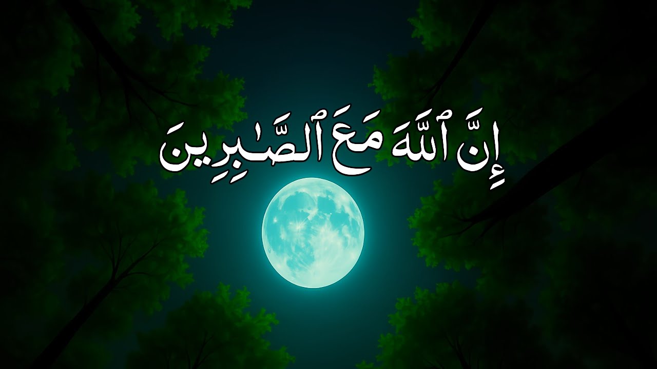 Surah Al-Baqarah 180-186 | Peaceful Quran Recitation for Soul | Tarteel-E-Noor