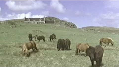 Q Lazzarus - GoodBye Horses (Demo 2) (Music Video)