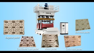 How To Use Paper To Make Pressed Pallets?/Solutions to recycle paper #presspalletmachine