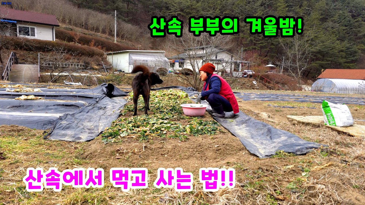 Зимняя ночь в горах! Как мы здесь живем