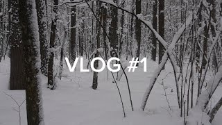 VLOG #1: готовим бэлеш, прогулка в снежном парке, мк по восточным танцам