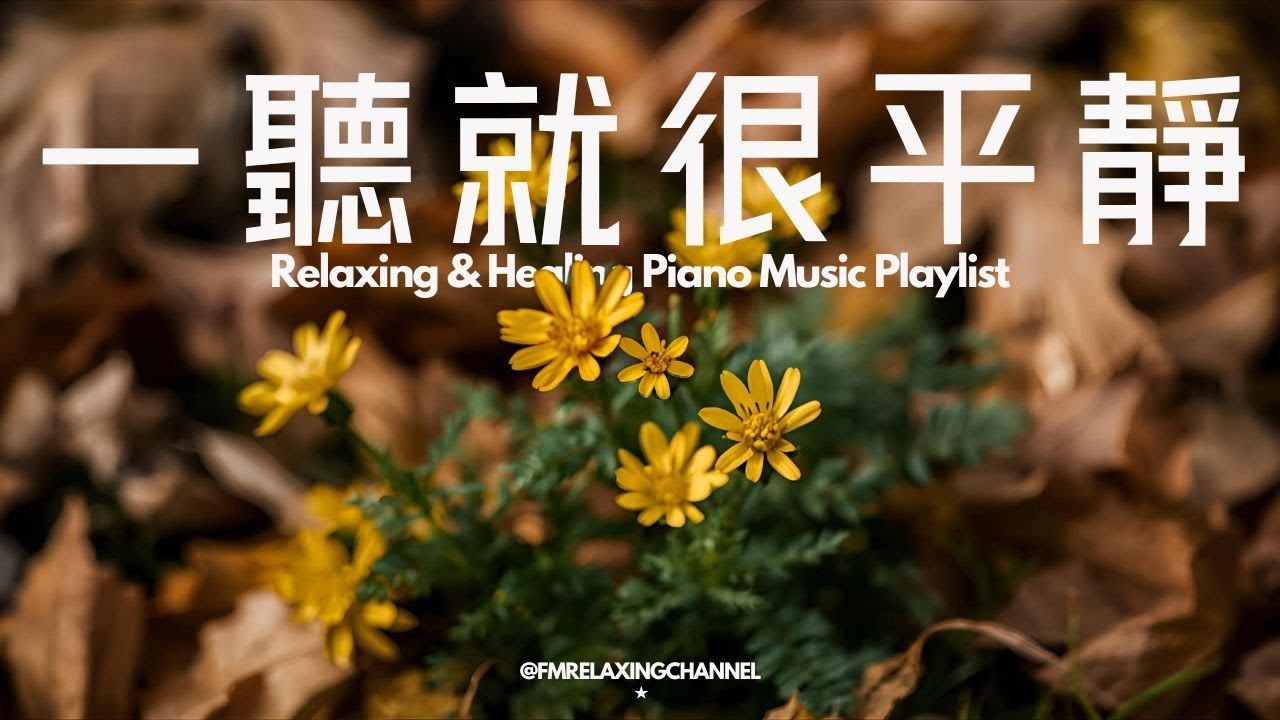 【RELAXING PIANO BGM】這段音樂非常適合用於冥想、放鬆以及作為學習和工作。沉浸式舒壓旋律能讓你完全放鬆，隨著柔和的琴聲撫平心中煩躁的情緒。這音樂能減輕壓力，還能幫助你進入平靜的狀態