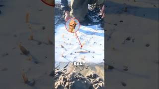 The Salt Trick That Exposes Hidden Life