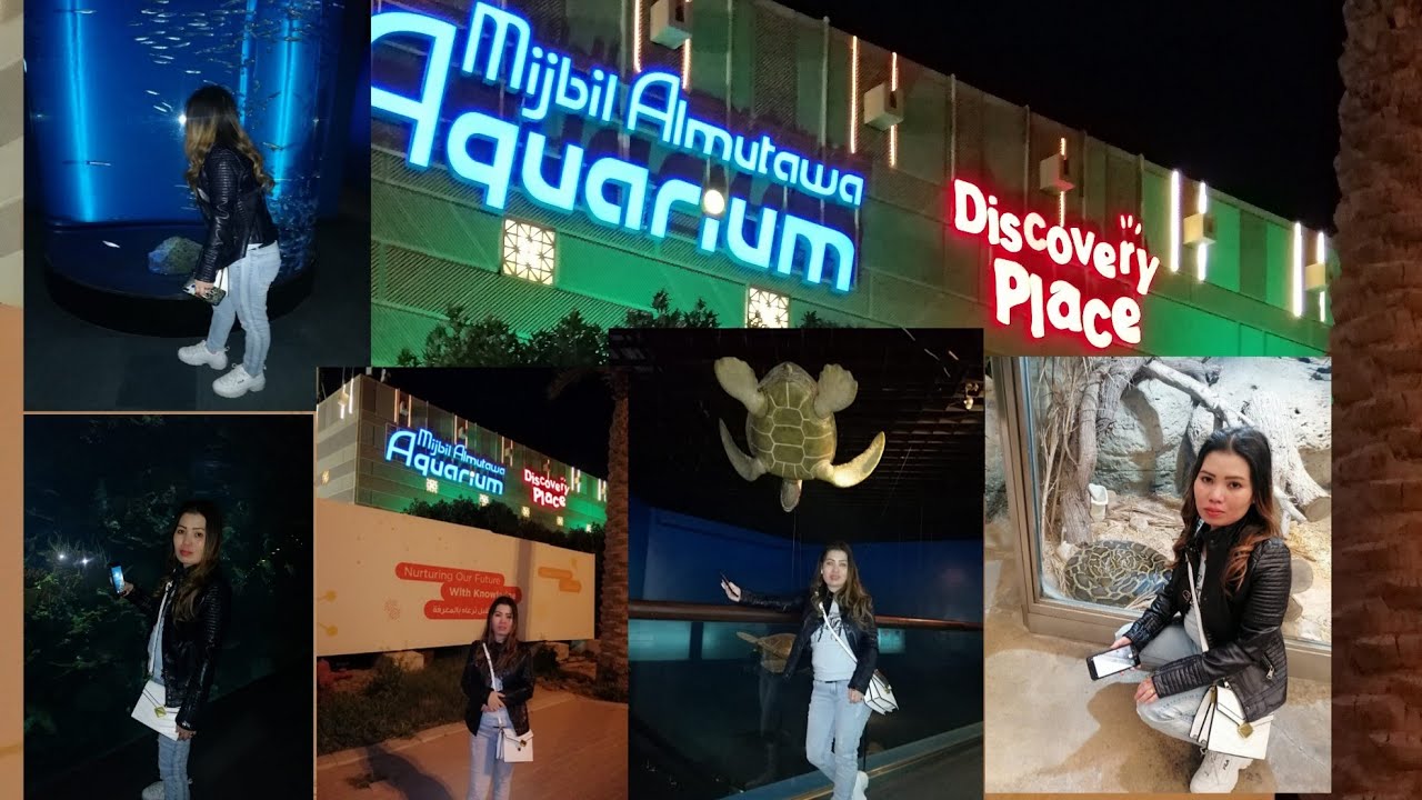 aquarium discovery place scientific center salmliya, kuwait YouTube