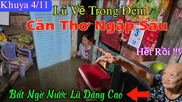 Nước Lũ Tràng Về Trong Đêm Cần Thơ Ngập Sâu Bà Con Không Kịp Trở Tay