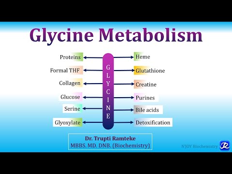 15: Glycine Metabolism | Amino Acid Metabolism |Biochemistry | N'JOY