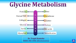15: Glycine Metabolism | Amino Acid Metabolism |Biochemistry | N'JOY Biochemistry