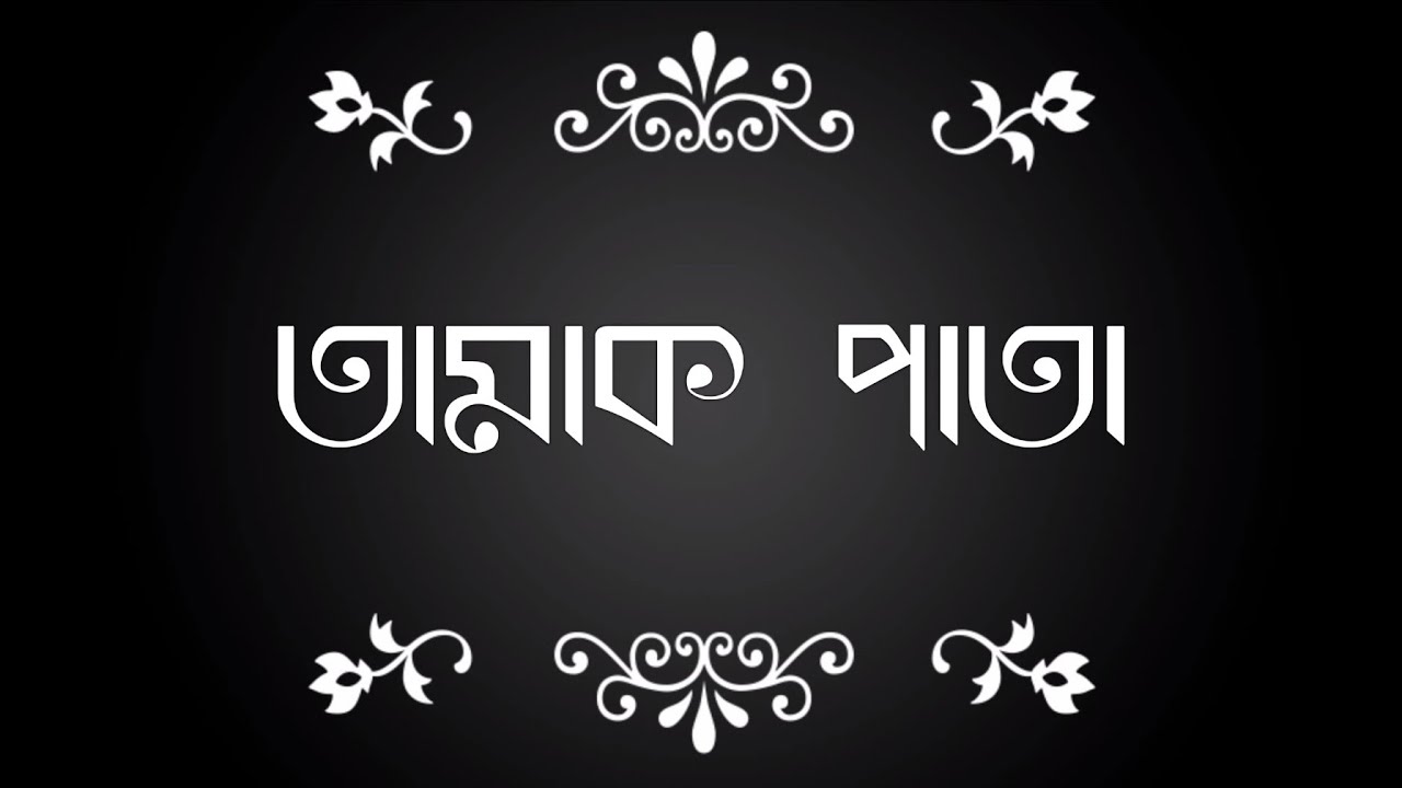 Tamak Pata YouTube