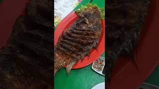 Kulineran di Pasar Ikan Modern Muara Baru #140422#kulinerjakarta#foodie#mukbang#seafoods