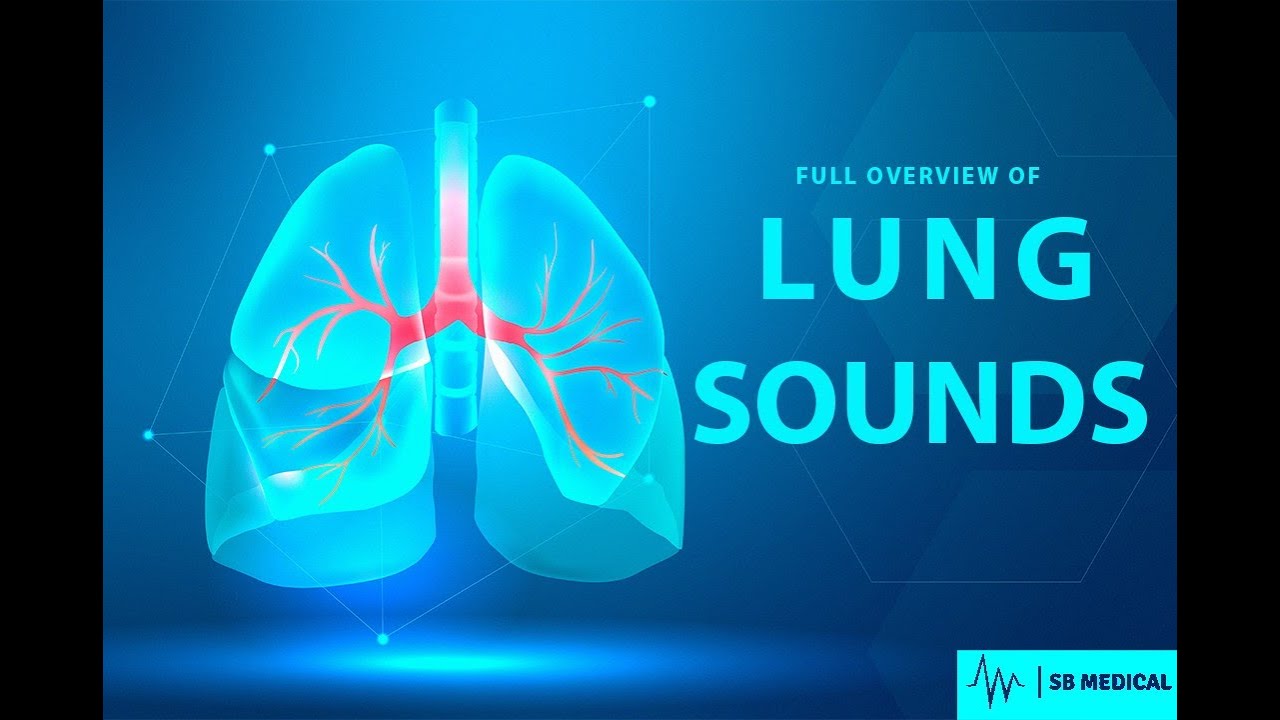 Full Overview Of Lung Sounds And Lung Auscultation (Normal Sounds