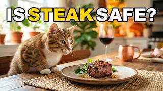 Can Cats Eat Steak Is Beef Safe For Cats To Eat