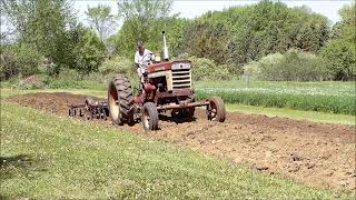 Farmall 560D With Krause 408 Disc & IH 401 Spring Tooth