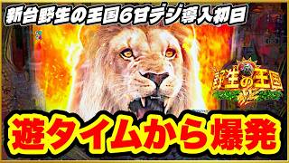 パチンコ新台 【野生の王国6甘デジ】 朝イチ遊タイム到達からまさかの大爆発! 甘デジとは思えない爆発力! 激アツの百獣の王タイム引いて爆連! 【PA野生の王国6】