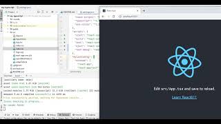 Debugging a default React project webstorm