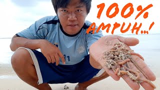Tips Dan Trik Mendapatkan Umpan Cacing Pantai Dengan Mudah dan Cepat. Dijamin 100% Working
