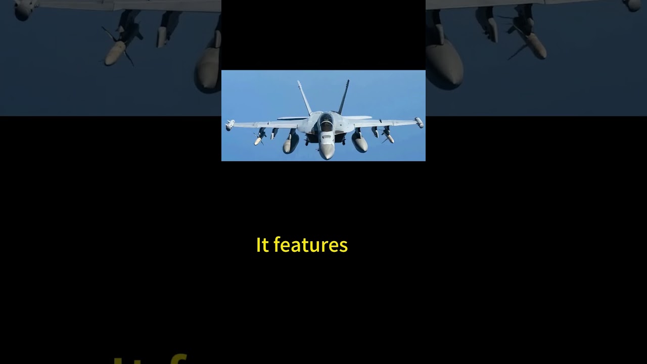 EA-18G Growler Insane Military Weapon 