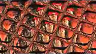 Rick Ross ft Lil Wayne 9 Piece Lyrics.flv