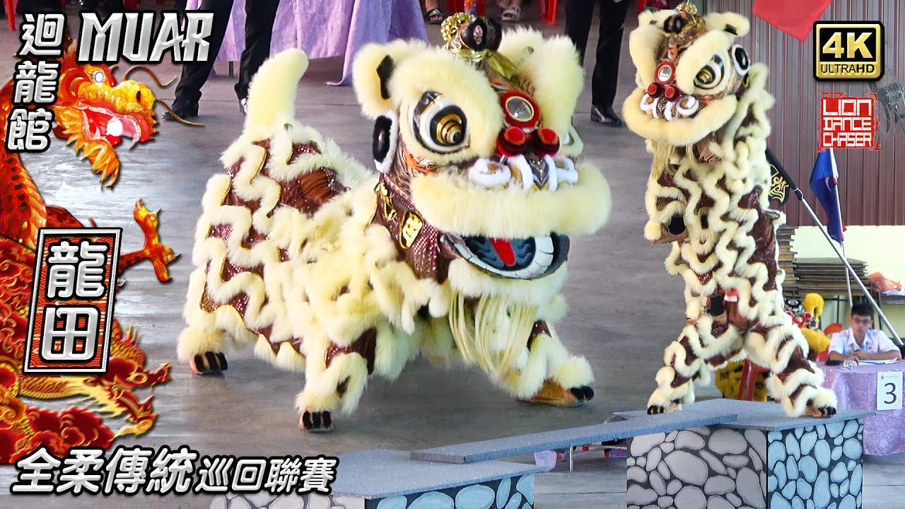 Lion Dance by Long Tian 龙田武术 - Johor Traditional Lion Dance League @ Hwee Ling Kuan