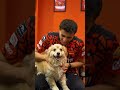 Funny video #cricket #cricketlover