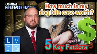 How Much Is My Dog Bite Lawsuit Worth 5 Key Factors