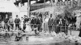 Download Lagu Dark Past - Human Zoo MP3