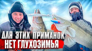 Лютая погода, а судак клюёт как дурной! Зимняя рыбалка на судака 2023 - 2024г.