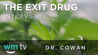 The Perception of Medical Marijuana to Combat the Opioid Epidemic | The Exit Drug