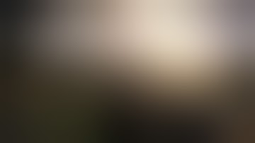 The Witcher 2: Assassins of Kings - Enhanced Edition on Linux (Gameplay) [No Commentary]