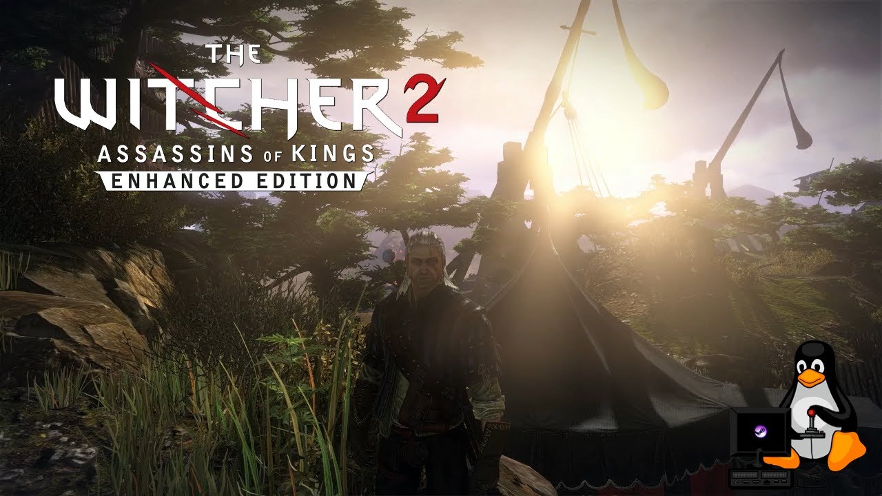 The Witcher 2: Assassins of Kings Enhanced Edition, PC Linux