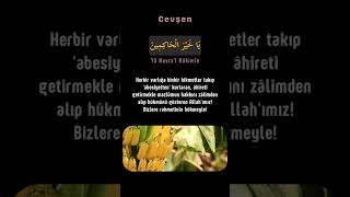 Allah'ı Tanıyoruz - Cevşen 18 #islam #zikir #dua #marifet #aşk