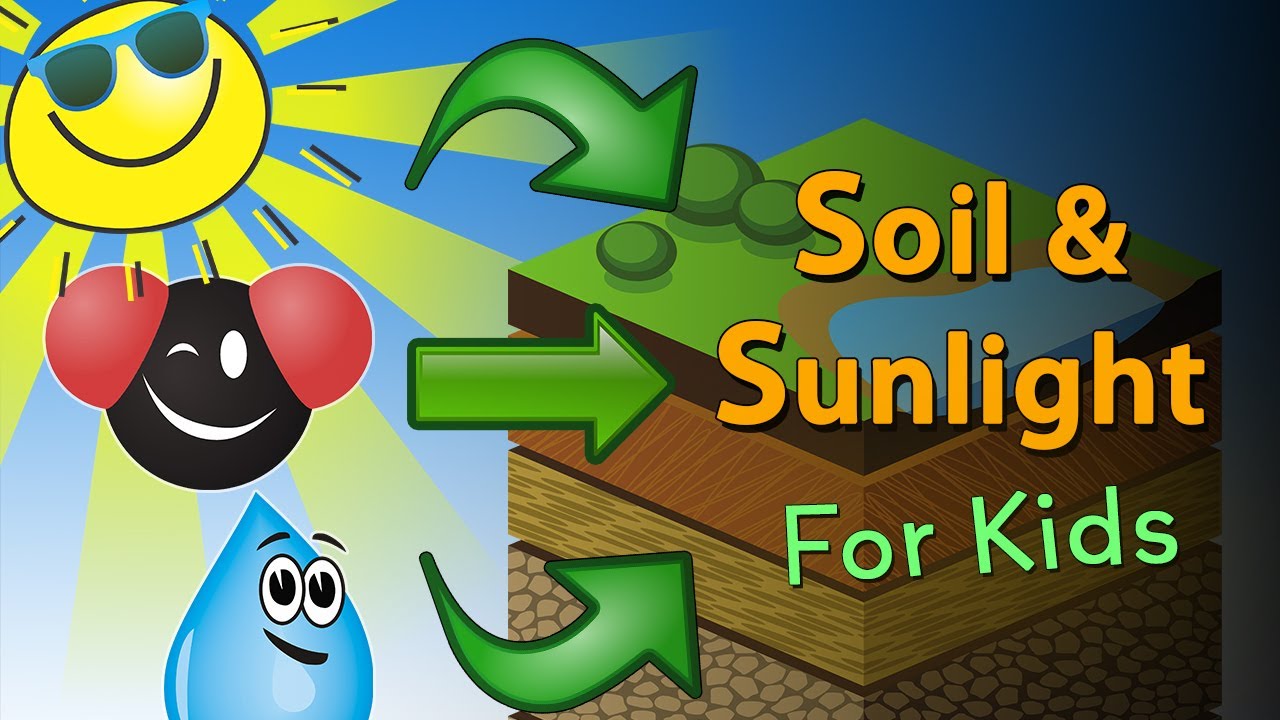 Ecology - Part 3 - Soil & Sunlight