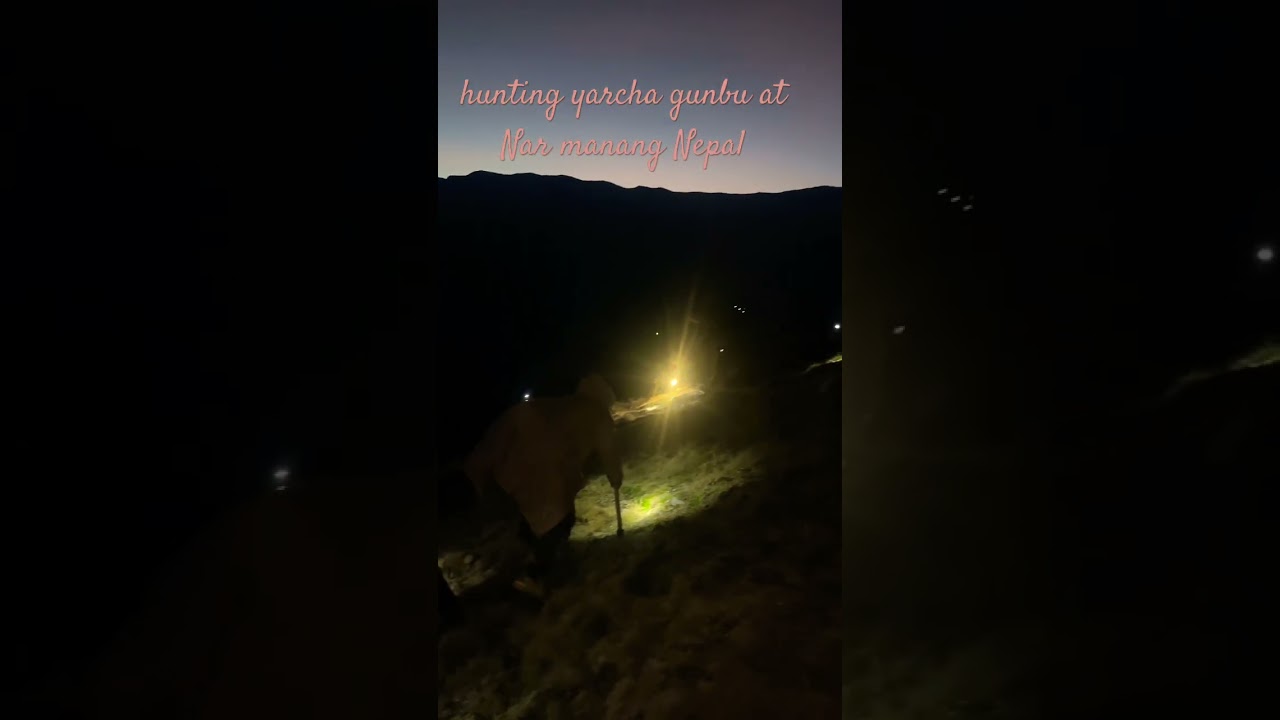 Hunting yarcha gunbu