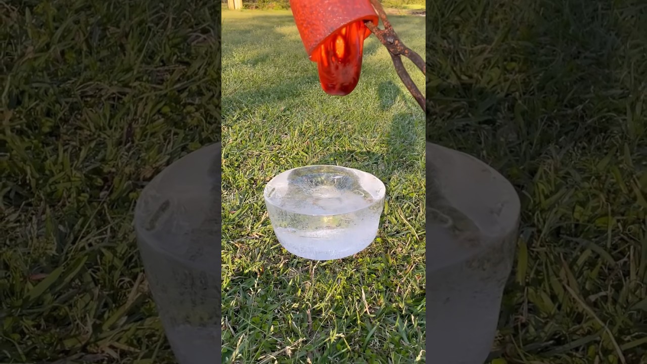 THE GREAT FOOD ILLUSION😱