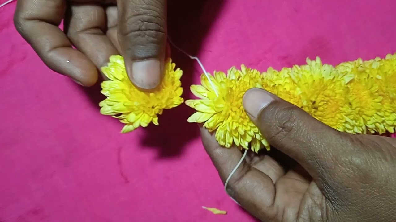 Chrysanthemum garland#vedashri