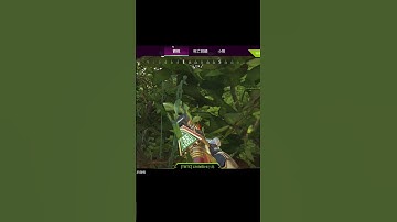 【APEX】APEX玩家的靜態視力喔www