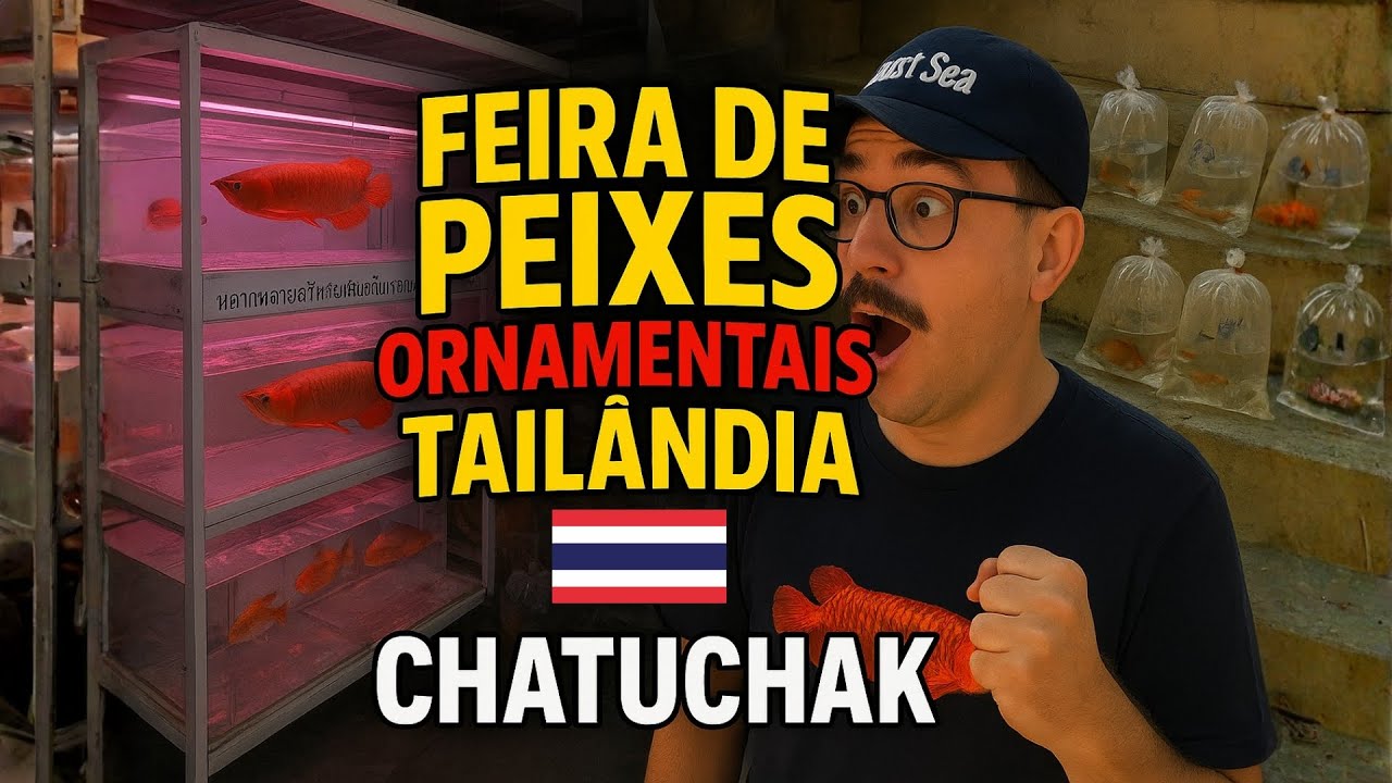 TOUR PELA MAIOR FEIRA DE PEIXES ORNAMENTAIS DO MUNDO!!!