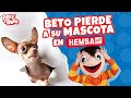 BETO Pierde a su Mascota en HEMSA - Bely y Beto