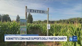 Dolly Parton-themed corn maze idea was planted long before her death