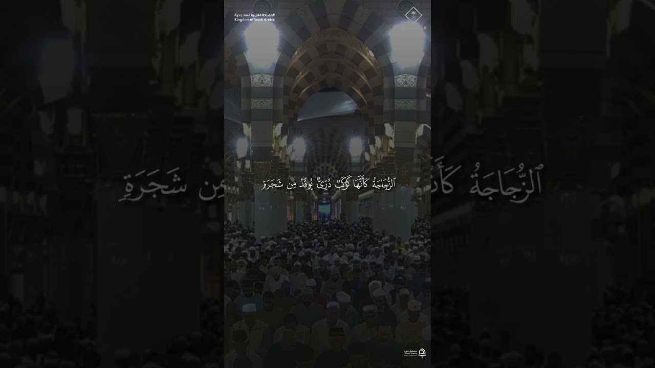 مقتطف من تلاوة فضيلة الشيخ #محمد_برهجي من صلاة الفجر 16 ربيع الآخر 1448هـ#المسجد_النبوي