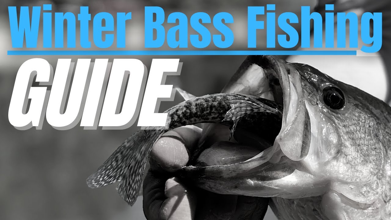 WINTER Bass Fishing COMPLETE GUIDE // Where do They go in Cold Water?? 