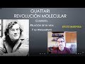 Guattari y ¿qué es la revolución molecular?