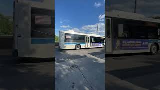 MTA Bus short: 3 Orion VII NGs #4031, #4140, and #4487 All Not In Service at Pelham Bay