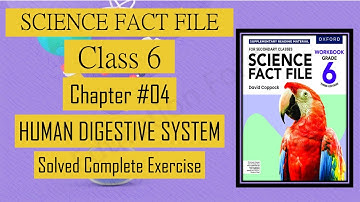 Class 6 || Science Fact File || Human Digestive System  || Chapter 4 || Complete Exercise
