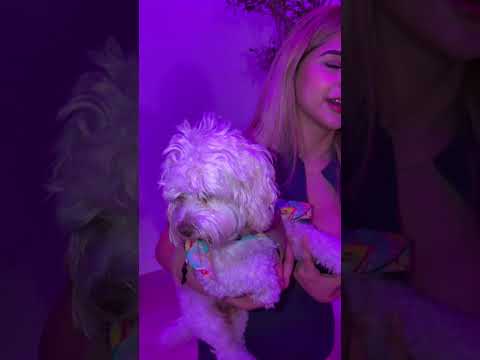 Calificando a mi familia