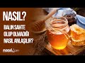 Gerçek Bal Nasıl Anlaşılır? BALINIZIN SAHTE OLUP OLMADIĞI TEST EDİN!