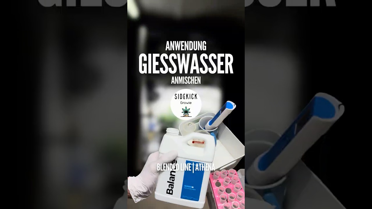 Das Anmischen - Gießwasser | mit Blended Line von Athena