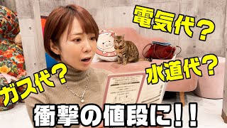 たくさんの動物達と暮らす家の光熱費が驚愕の金額だった！