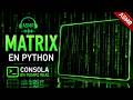 El efecto MATRIX en Python (ASMR + Terminal Relax)